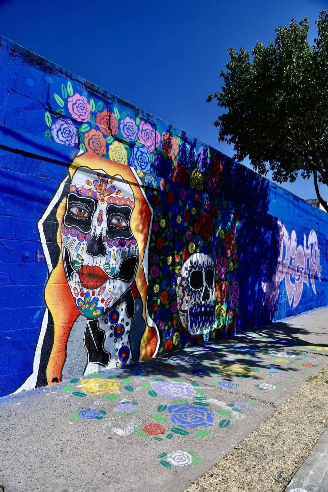 Imagen del artículo: Catrinas, color y aerosol: el arte urbano que mantiene viva la cultura mexicana