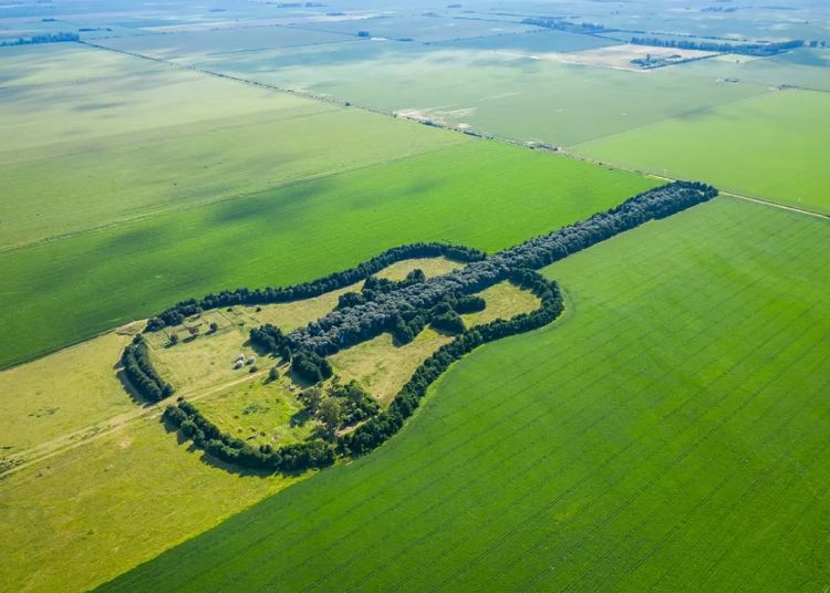 Portada de La arboleda que esconde el acto de amor más grande de Argentina