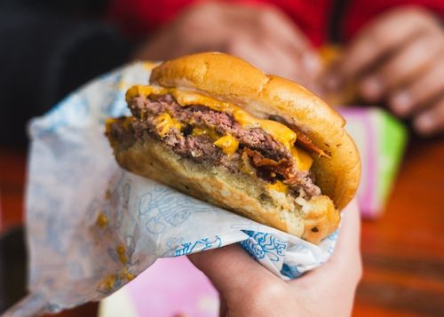 Burgerpalusa